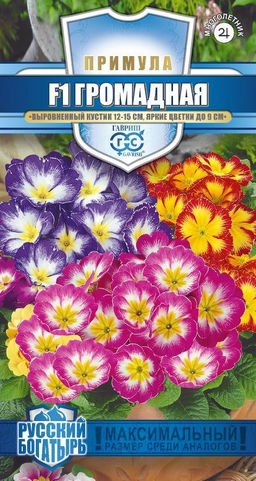 Громадная F1 (обыкновенная грунтовая) смесь примула 5 шт (г)
