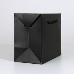 Пакет—коробка «Чёрный», 28 х 20 х 13 см