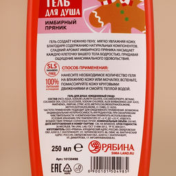 Гель для душа, 250 мл, аромат имбирного пряника, URAL LAB фото 5