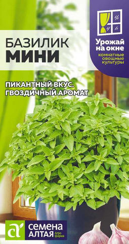Зелень Базилик Мини/Сем Алт/цп 0,1 гр. УРОЖАЙ НА ОКНЕ! (2029 / 475)