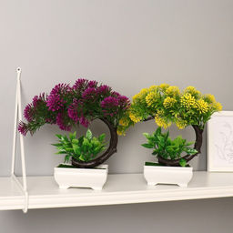 Бонсай в горшке «Селагинелла африканская», 10×20 см, МИКС