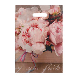 Цена за 50 шт. Пакет «Бенефис», полиэтиленовый с вырубной ручкой 29×40 см, 35 мкм