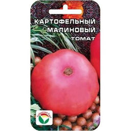Томат Картофельный малиновый 20шт. (Сибирский сад)
