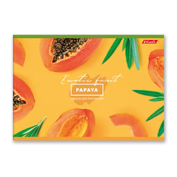 Светоч 48АЛСК4_1_3_9 Альбом для рисования 100 г/м2 A4 29 х 20.5 см 48 л. 5 шт. на скобе 000260 Зелёная ракета фото 24