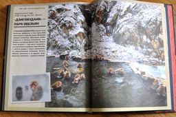 Чудеса света