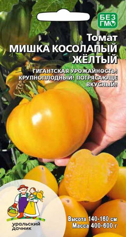 Томат МИШКА КОСОЛАПЫЙ ЖЁЛТЫЙ Гигантская урожайность! Крупноплодный! Потрясающе вкусный!