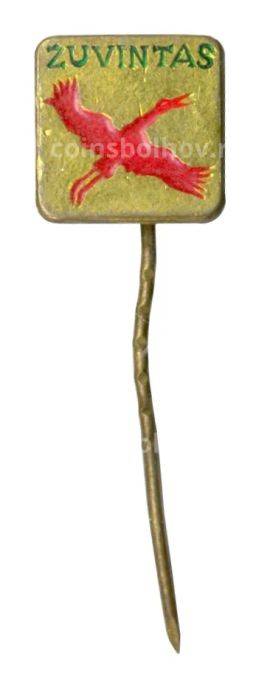 Значок Озеро Жувинтас