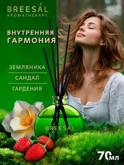 Breesal Декоративный ароматизатор Aromatherapy Внутренняя гармония