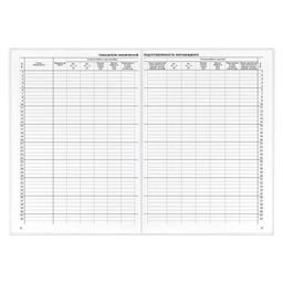 Классный журнал 10-11 класс арт. 5193