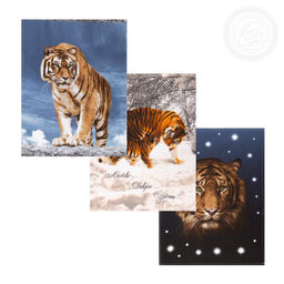 Набор полотенец из рогожки "Раджа" 45*60/2 шт. - 45*60 Полотенца из рогожки