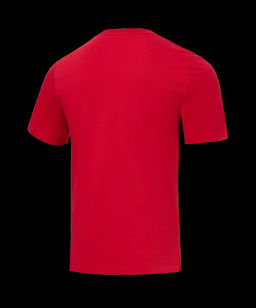 Футболка тренировочная JOGEL DIVISION PerFormDRY Training CVC R2, красный  фото 3