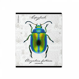 Цена за 5 шт. Тетрадь общая ученическая ErichKrause Жуки, 48 листов, клетка, мат. лам.+выборочный УФ-лак+тиснение фольгой+конгрев, доп.лист_MIX-PACK фото 3