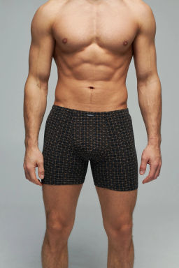 Трусы мужские боксеры Rogers 8703 хлопок, эластан размеры M, L, XL, 2XL  фото 2