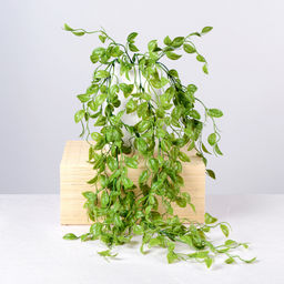 Зелень искусственная 80 см / N715-780 /уп 2/40/300/ - Галеонтрейд фото 2