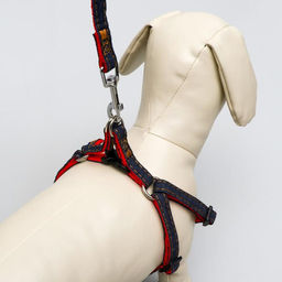 Комплект Джинс, поводок 120 х 1 см, ОГ 25-40 см, красный - Пижон фото 6