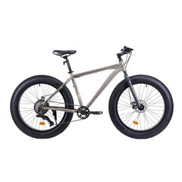 Велосипед фэт-байк 26x4 рама 21 1х10sp 11-42T COMIRON CHUBBY бежевый