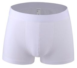 Трусы-боксеры А09717340 - Tadmico фото 3