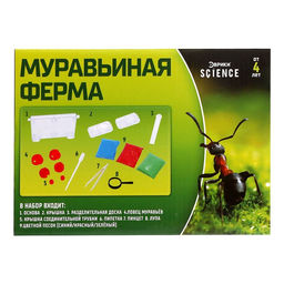 Набор для опытов Муравьиная ферма - Эврики фото 9