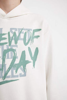 Толстовка с капюшоном и принтом для мальчиков - Defacto фото 5