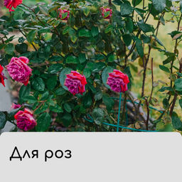 Чехол для растений, с петлями, 100×100 см, спанбонд с УФ-стабилизатором, плотность 60 г/м²