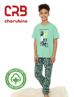 CRB wear/CSJB 50167-37 Пижама для мальчика (футболка, брюки),зеленый/Ex.Cherubino
