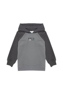 Erkek Гocuk Gri KapГЕonlu Sweatshirt - U.s. polo assn фото 3