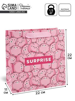 Цена за 2 шт. Пакет подарочный ламинированный квадратный, упаковка, Surprise, 22?22?11 см