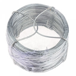 Шнур для подвязки растений, для скрепления проводов, завязывания пакетов и других мелких бытовых нужд 50м, металлическая проволока, в пленке (Китай)