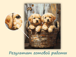 ФРЕЯ PNB/PL-357 Набор для раскрашивания по номерам 50 х 40 см Пушистые друзья в корзинке