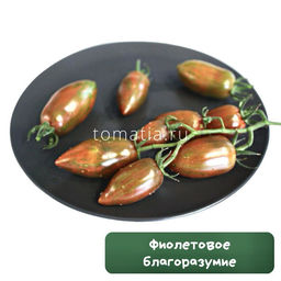 Фиолетовое благоразумие