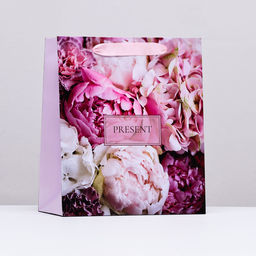Пакет подарочный ламинированный вертикальный PRESENT, 23?27?11.5 см