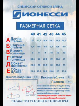 Ботинки Ионесси