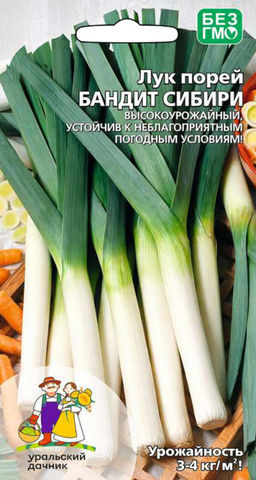 Лук порей БАНДИТ СИБИРИ  Высокоурожайный! Устойчив к сложным погодным условиям!