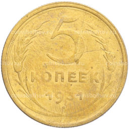 Монета 5 копеек 1931 года