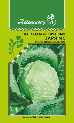 Капуста ЗАРЯ МС Раннеспелый сорт!