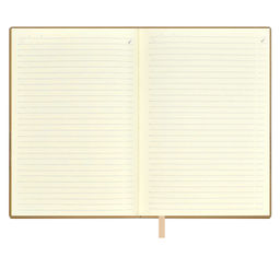 Ежедневник недатированный ESCALADA, А6+, 160 л., арт. 64220/ 20 КРОКО МЕТАЛЛИК ЗОЛОТОЙ  фото 8