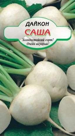 Саша дайкон 1г (ссс) Р
