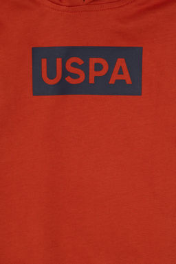 Erkek _ocuk Kiremit Basic Kap__onlu Sweatshirt - U.s. polo assn фото 3