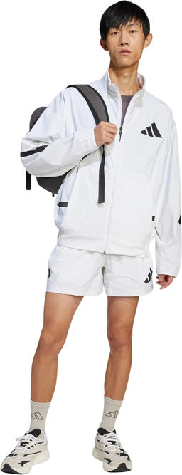 Ветровка мужская