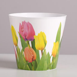 Кашпо для цветов Тюльпаны, 0.8 л, 11?12 см