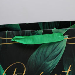 Цена за 2 шт. Пакет подарочный ламинированный, упаковка, Present for you, MS 23×18×10 см