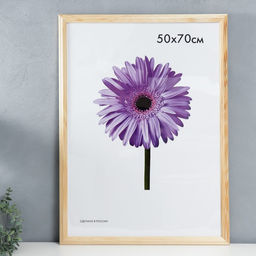 Фоторамка для фото 50×70 см Linda, дерево, неокрашенная, (пластиковый экран)