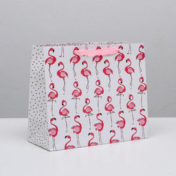 Пакет ламинированный горизонтальный Фламинго, ML 27 23 11,5 см