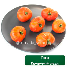 Гном Красочная леди