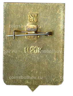 Значок Макарьев