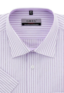Сорочка мужская короткий рукав GREG Gb171/309/347/Z/1