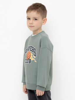 КР 302392/полынь джемпер (свитшот) для мал