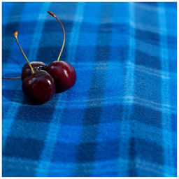 Плед для пикника Maclay, цвет синий  фото 5