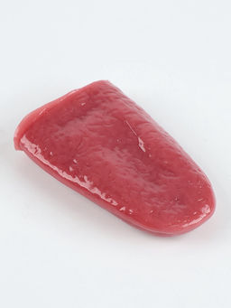 Игровой набор «Большой набор пранков», 21 розыгрыш