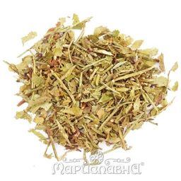 2 шт. Черника (лист)